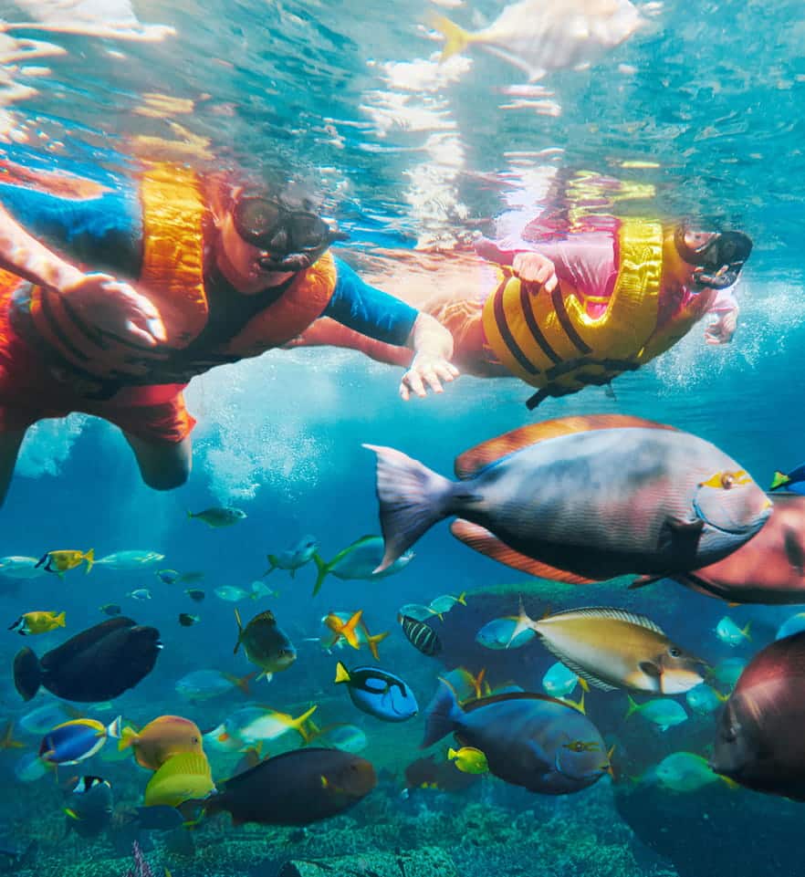 Adventure Cove Waterpark