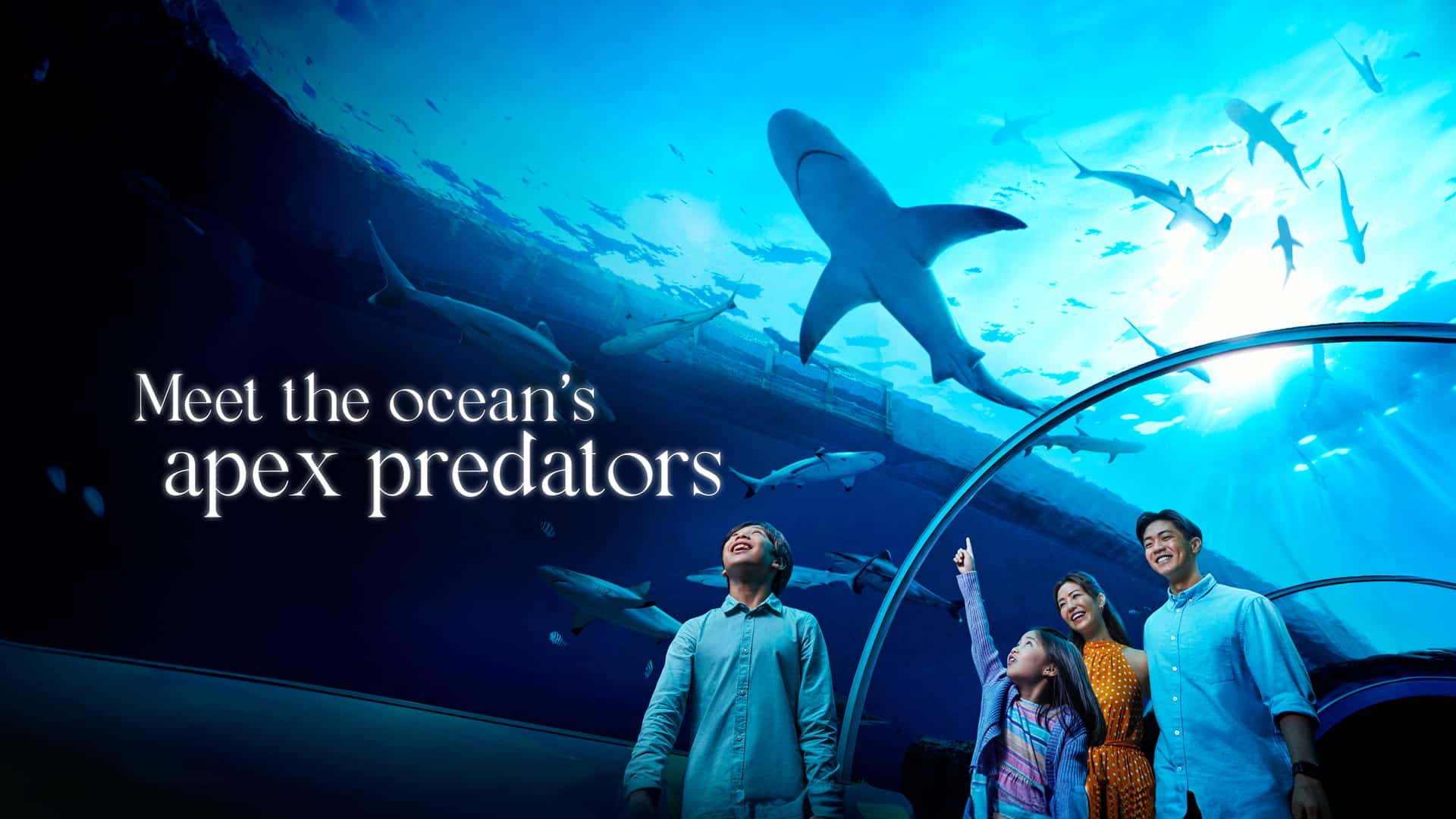 Sea Aquarium at Resorts World Sentosa