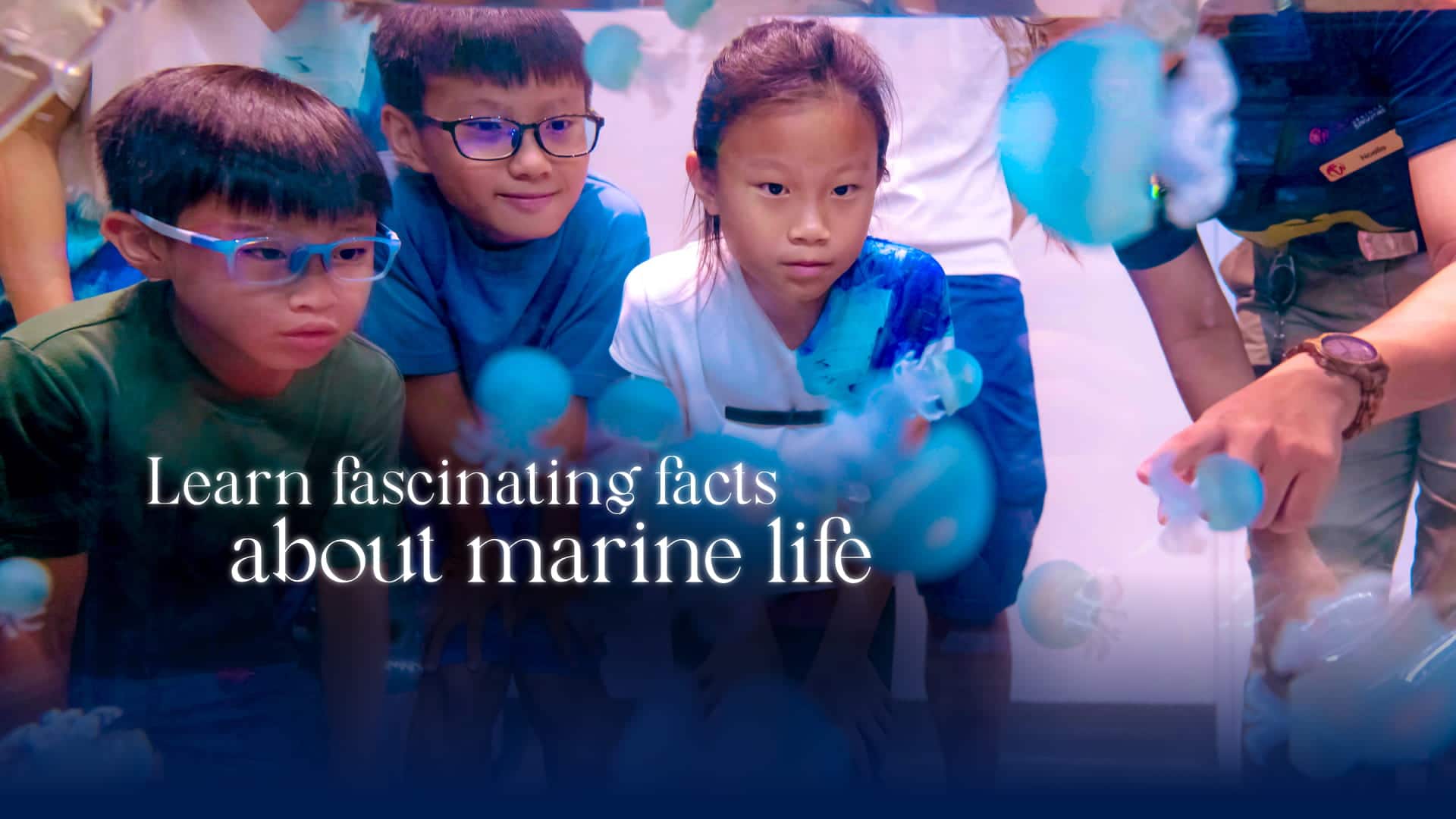 Sea Aquarium at Resorts World Sentosa