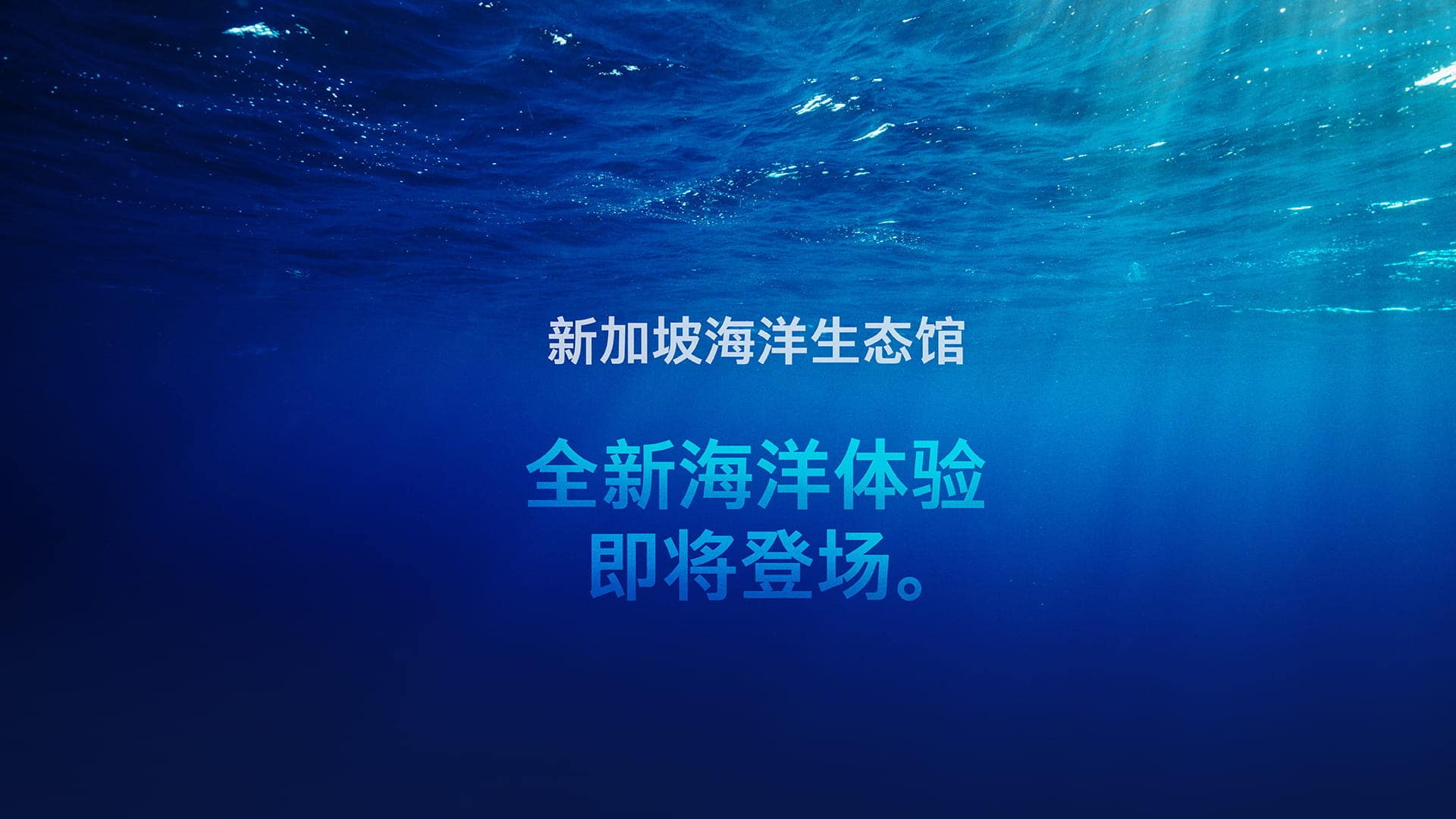 SEAA0139 SEAA Web Banner 2025_r4_SGO 1920x1080 SC