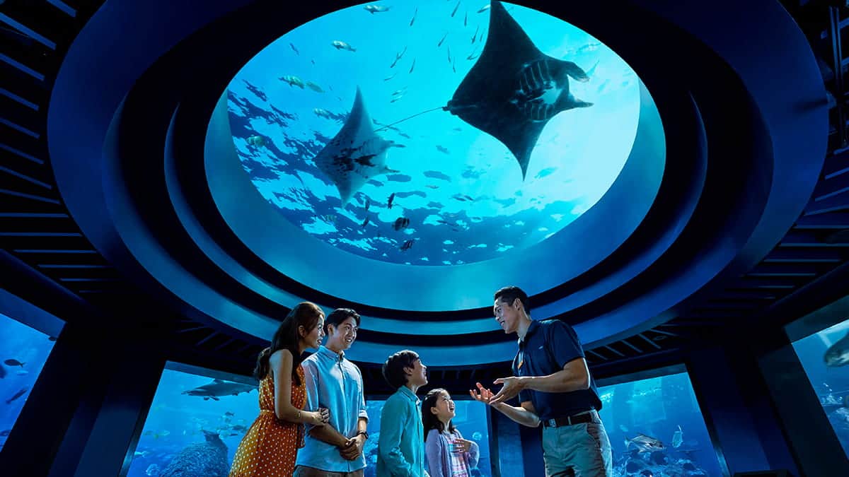 SEAA0139_SGO_InsiderExperience_1200x675