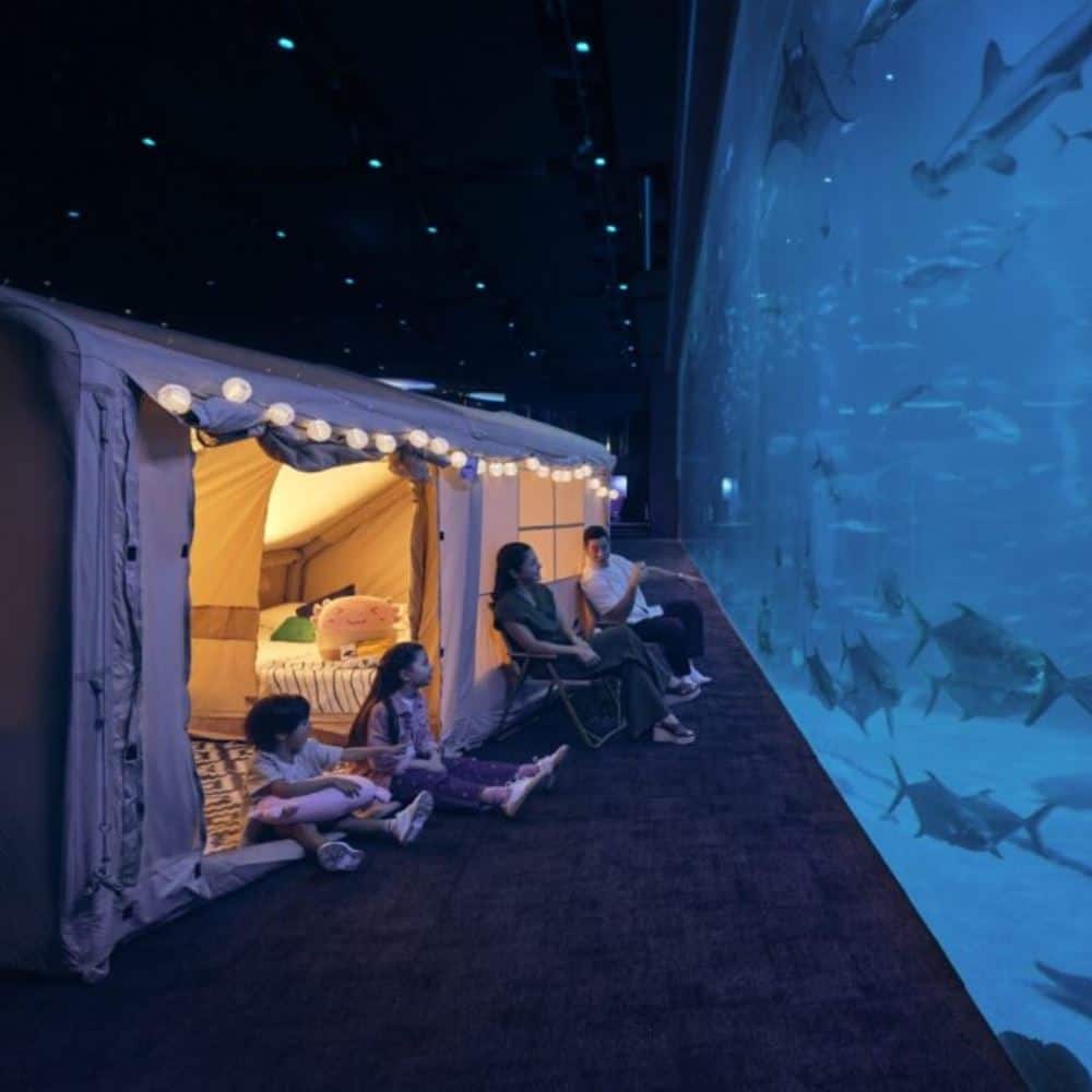 Ocean Dream at Resorts World Sentosa