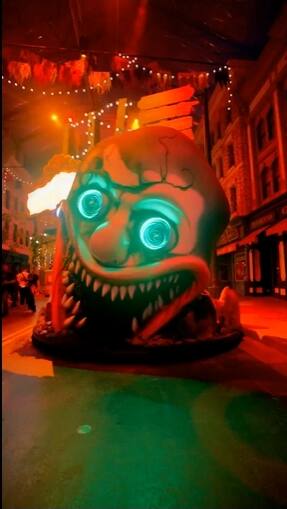 HHN14