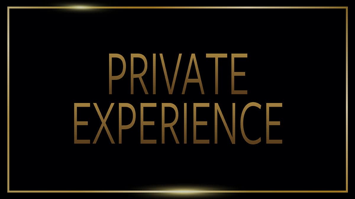 Universal-Studios-Singapore-Private VIP Experience