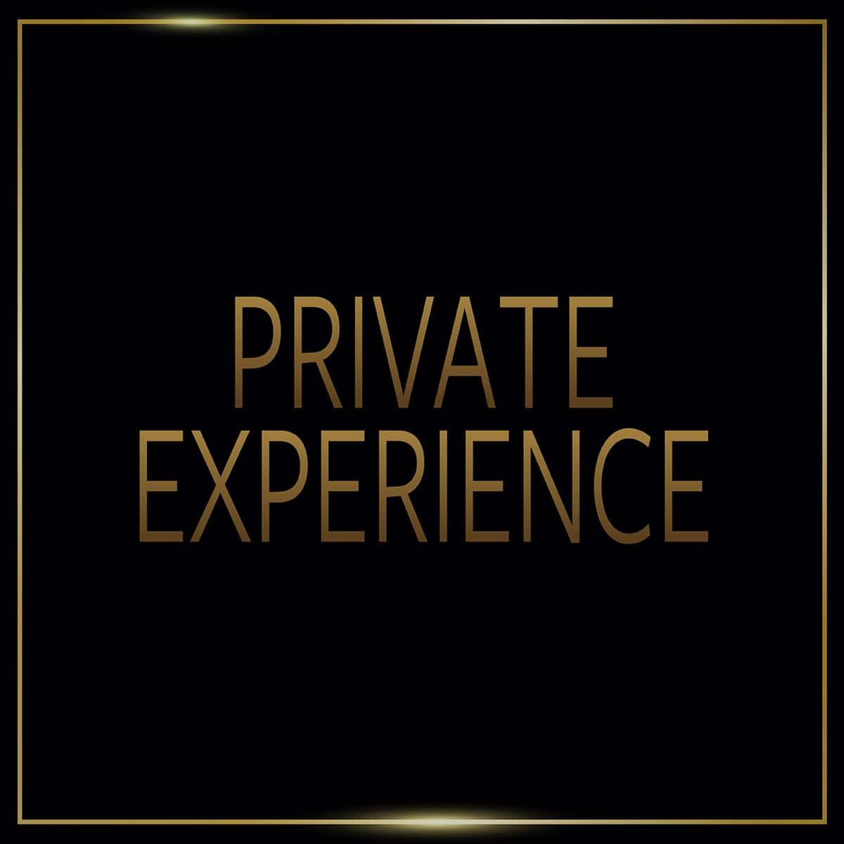 Universal-Studios-Singapore-Private VIP Experience