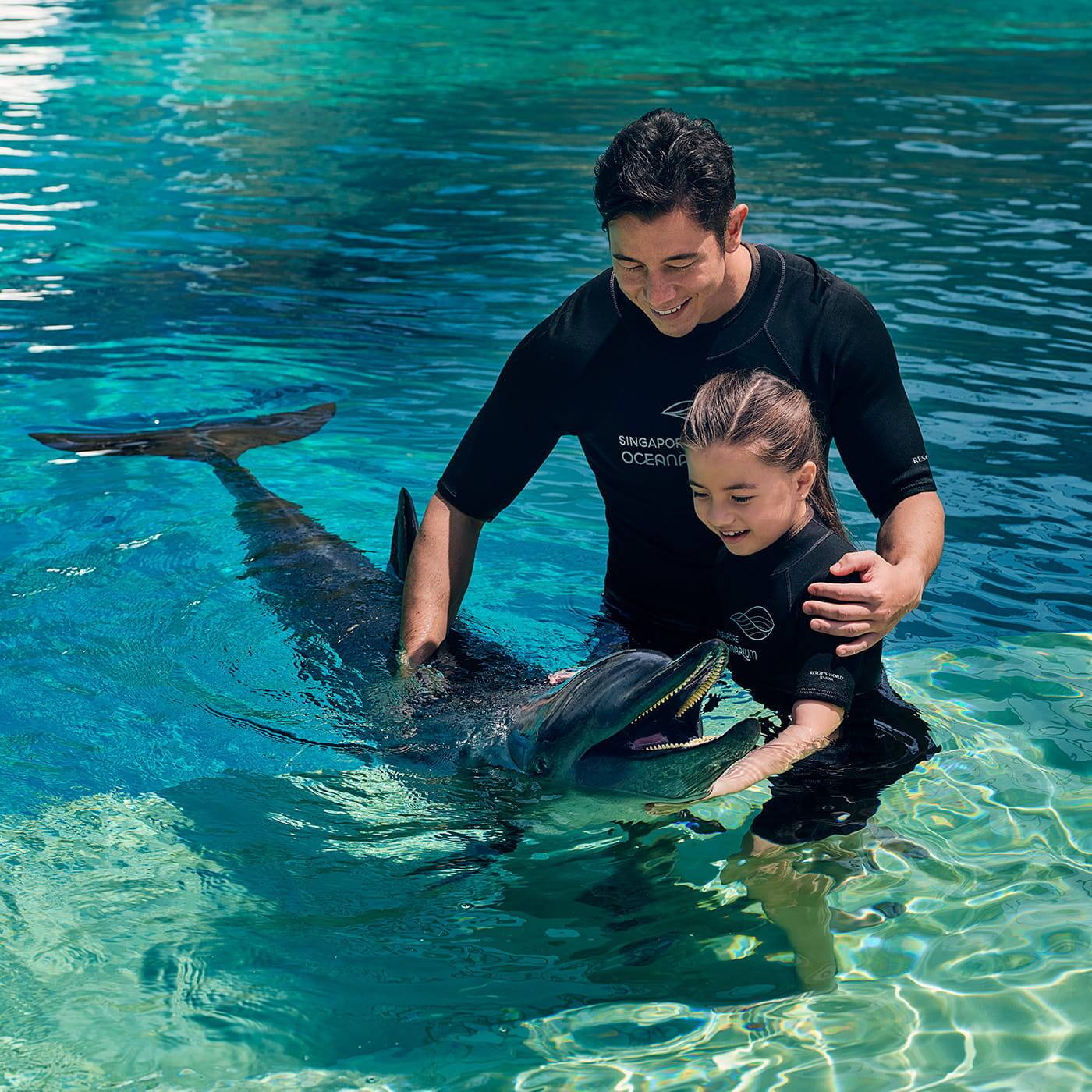 Marine Adventure Bundle - Dolphin Immersion