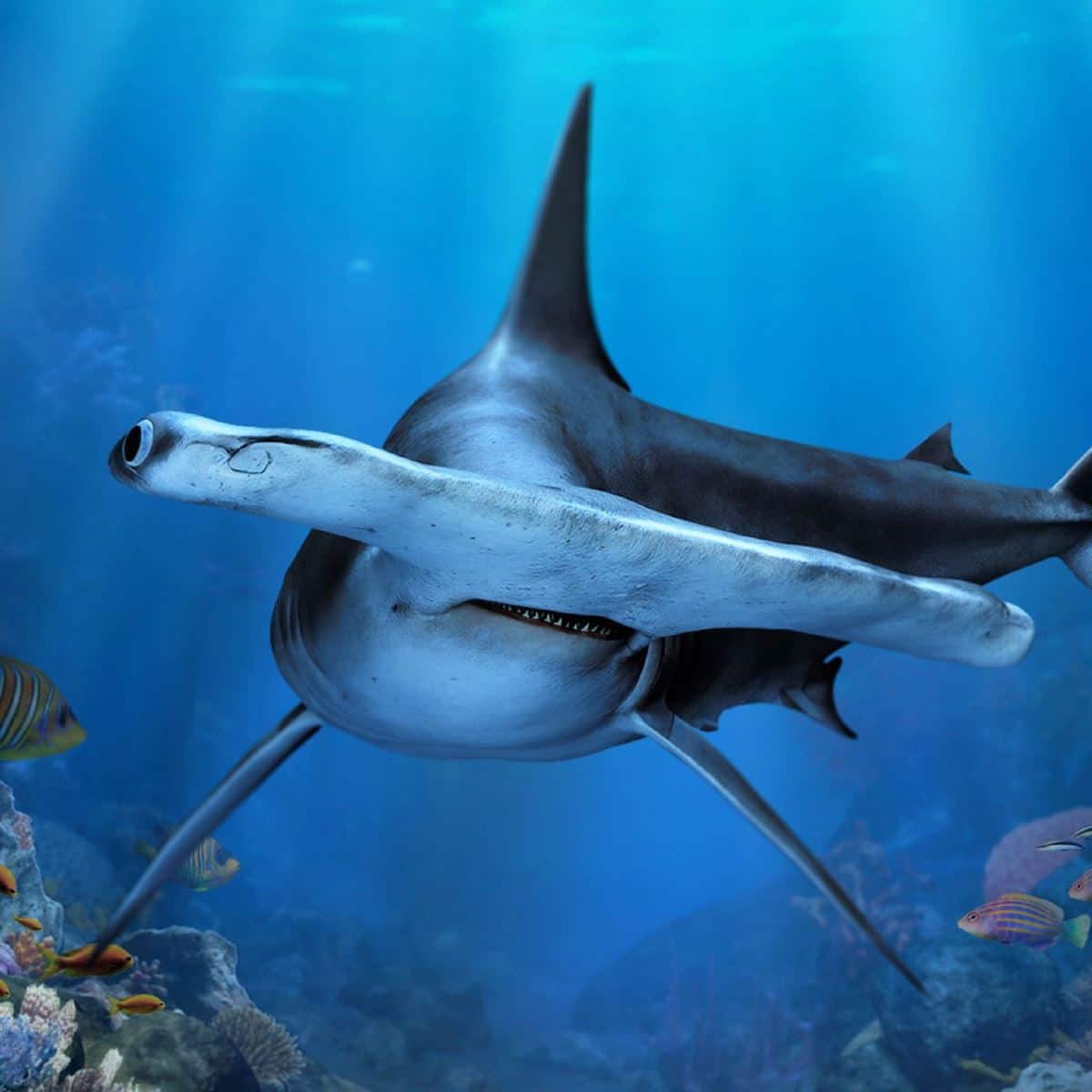 Resorts_World_Sentosa_Multi_Attractions_Season_Pass