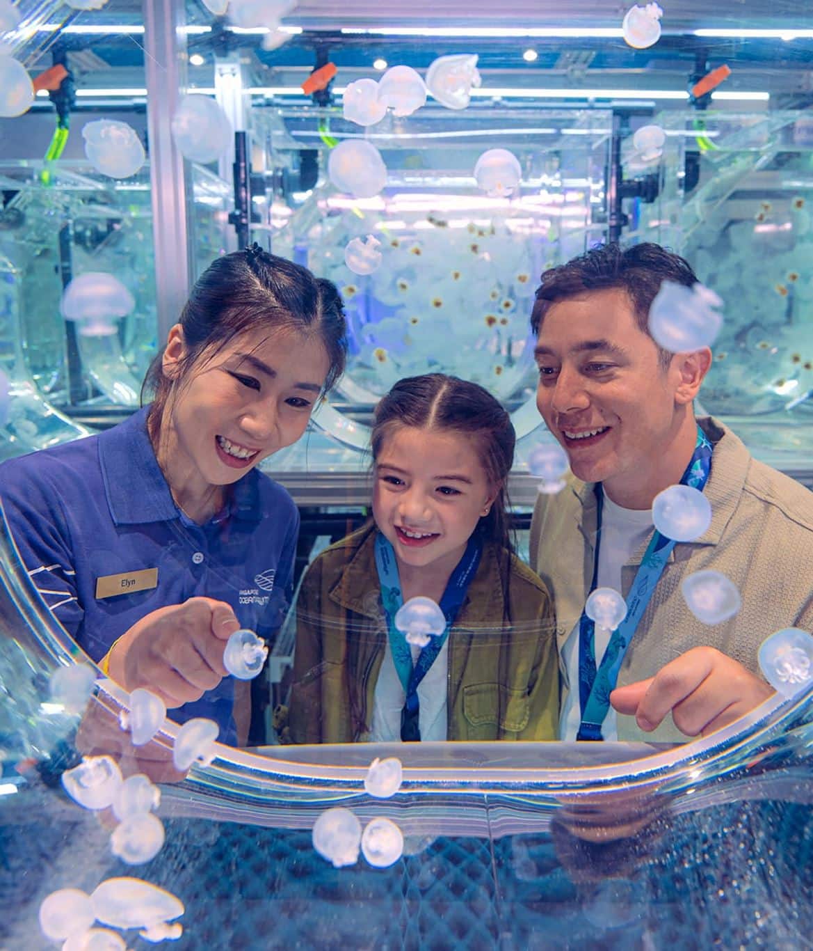 singapore-oceanarium-1-year-anniversary