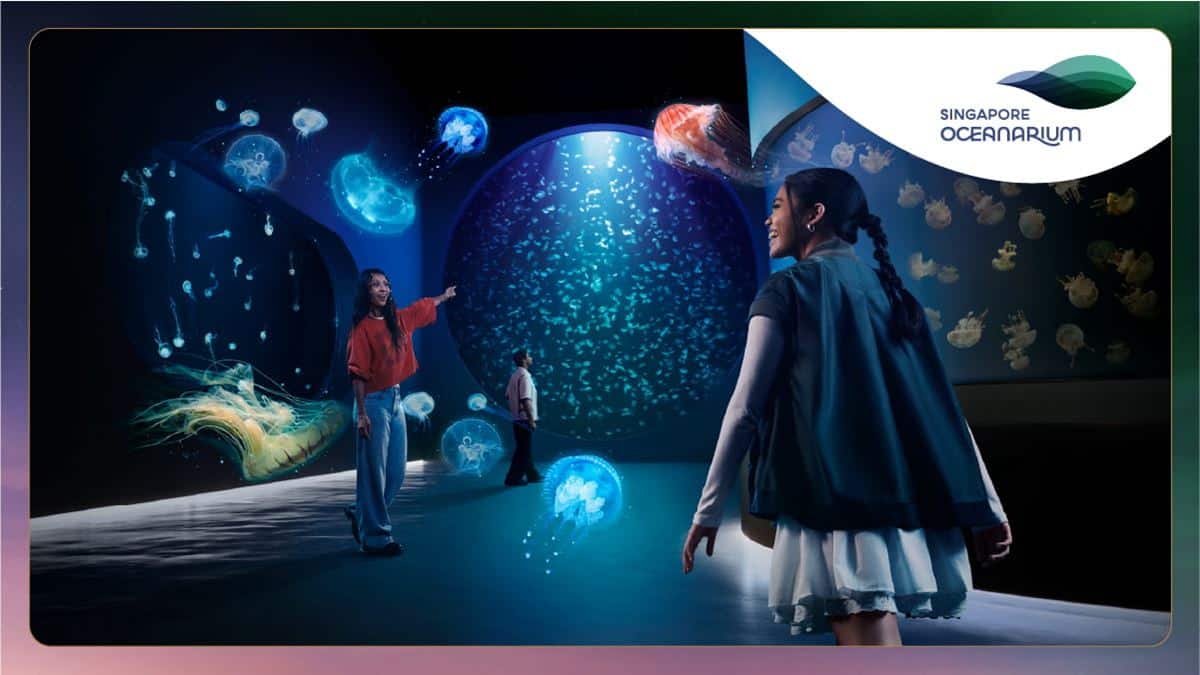 RWS 2D1N Wonder Experience