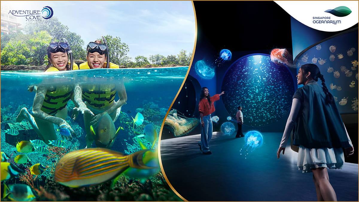 RWS-HTL-Stay-and-Play-Adventure-Cove-Waterpark