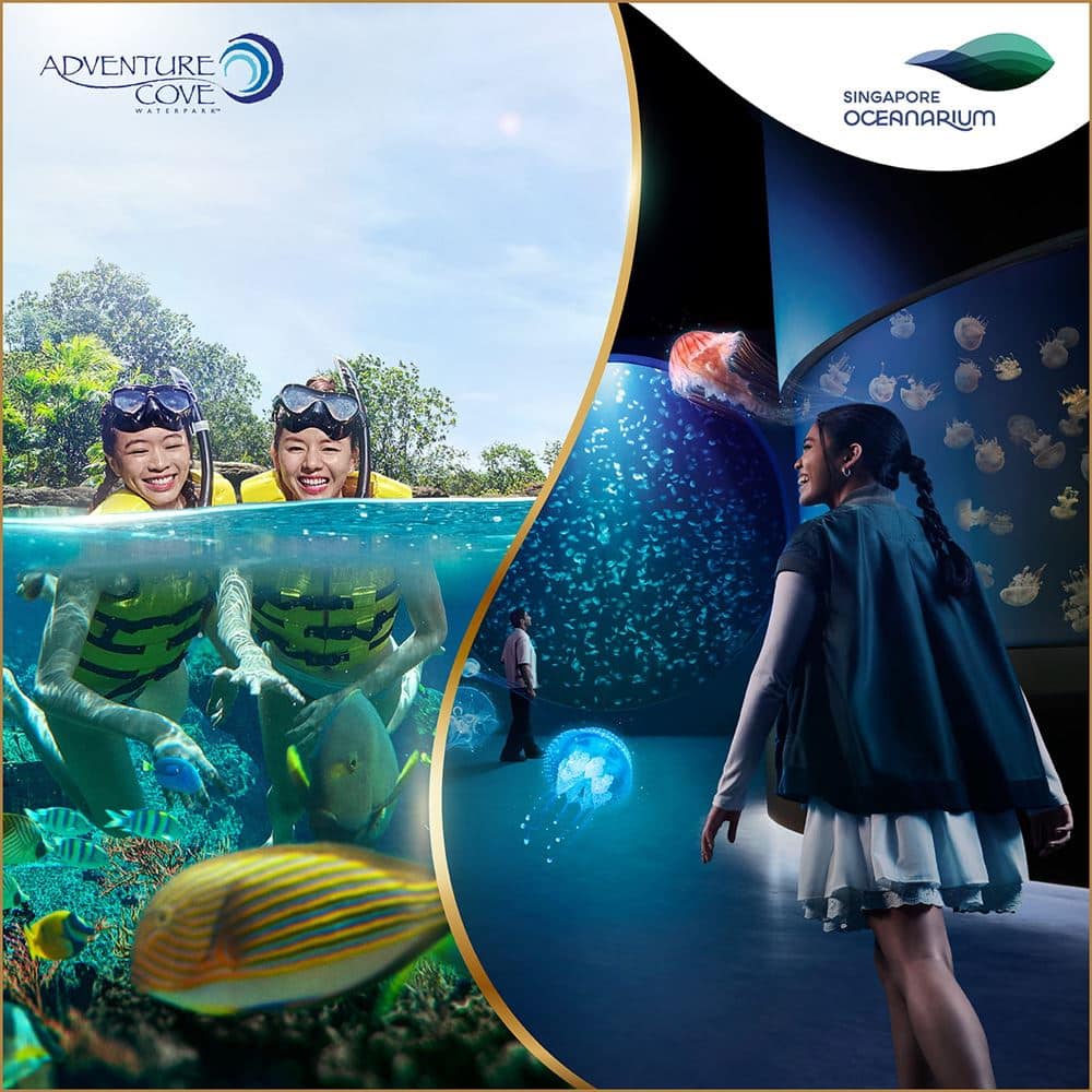 RWS-HTL-Stay-and-Play-Adventure-Cove-Waterpark