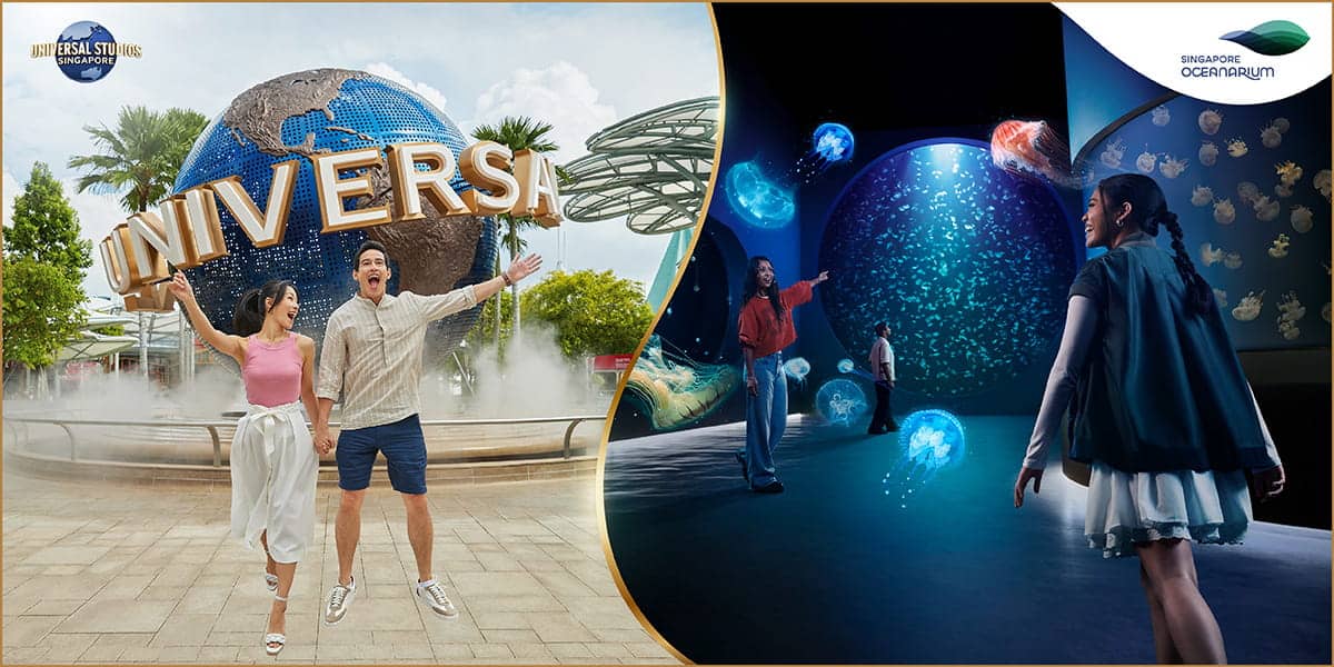 Hotel stay with Attraction Tickets package – Stay and Play