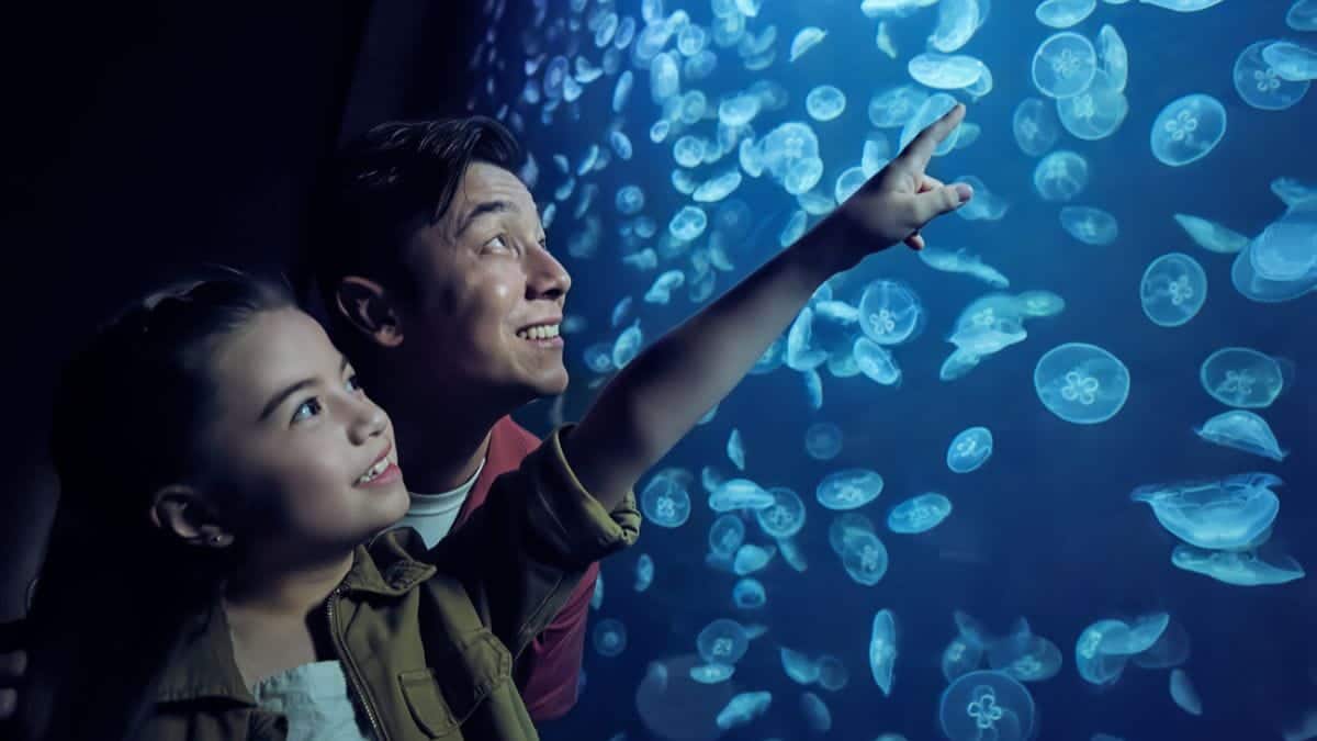 RWS-HTL-Stay-and-Play-Singapore-Oceanarium
