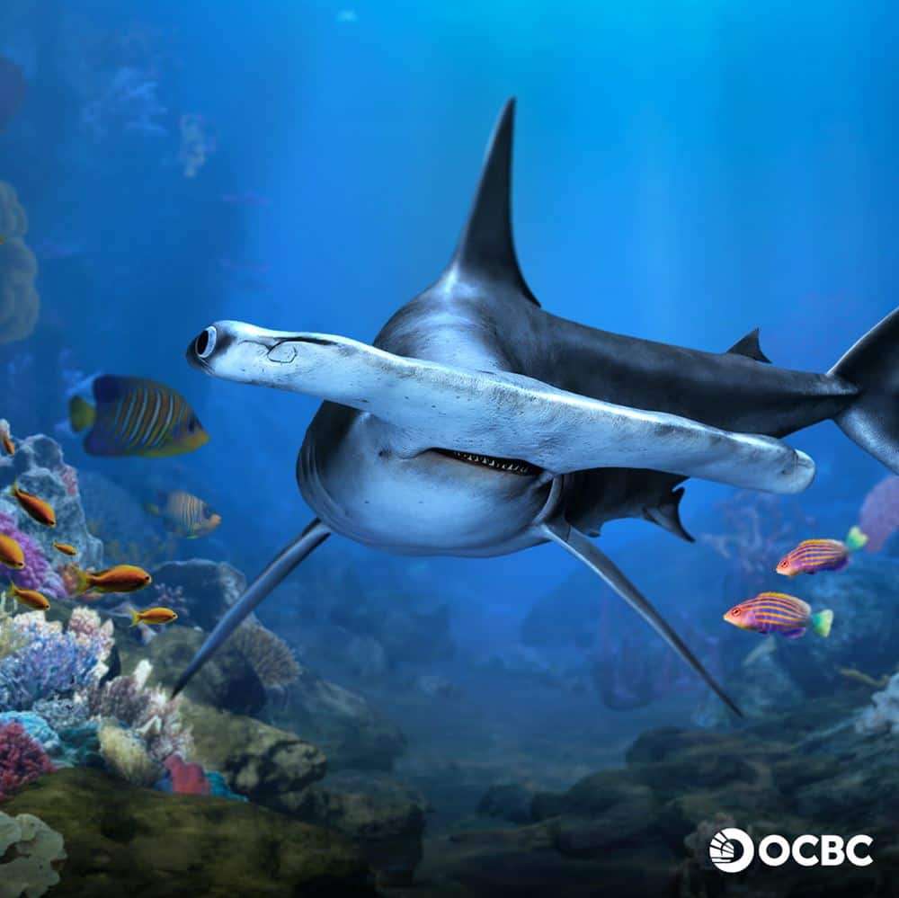 Resort_World_Sentosa_OCBC_Indonesia