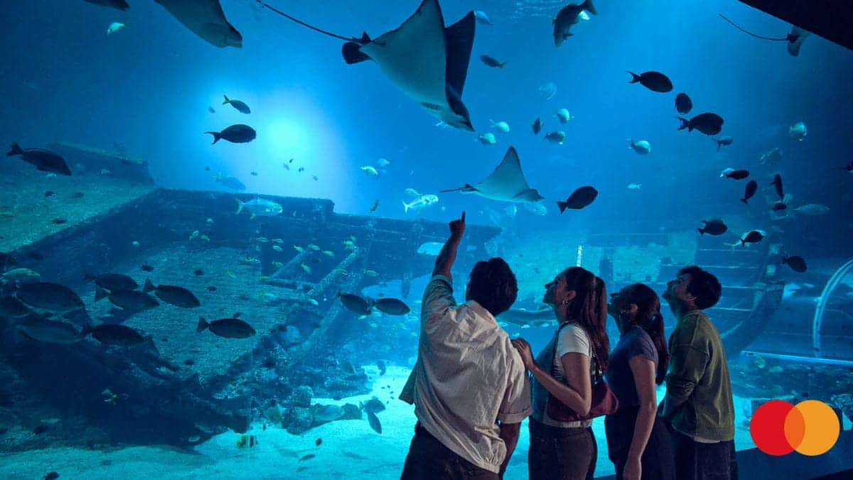 Resorts World Sentosa - SGO Mastercard