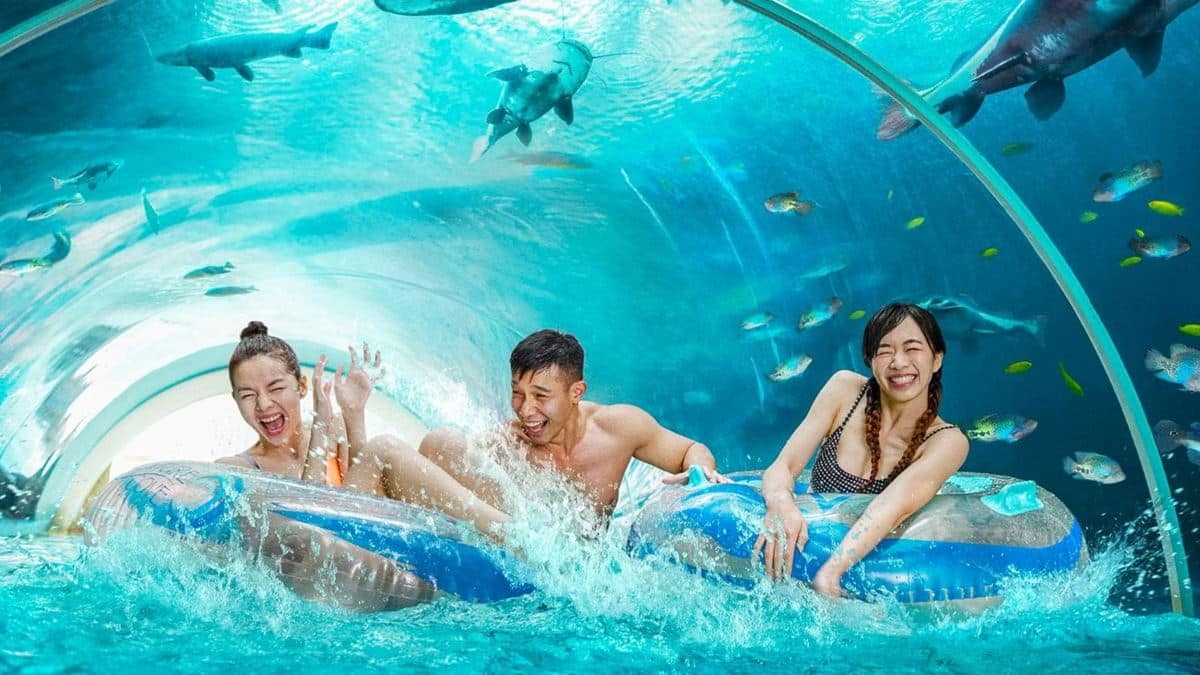 Singapore Attraction- Adventure Cove Waterpark