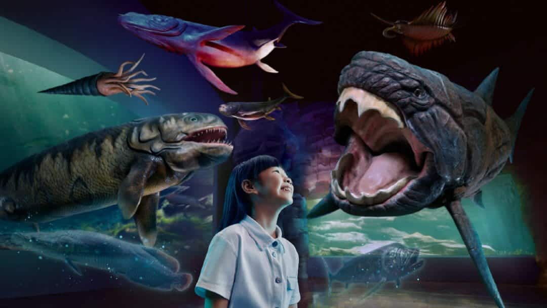 Singapore Attraction- Singapore Oceanarium