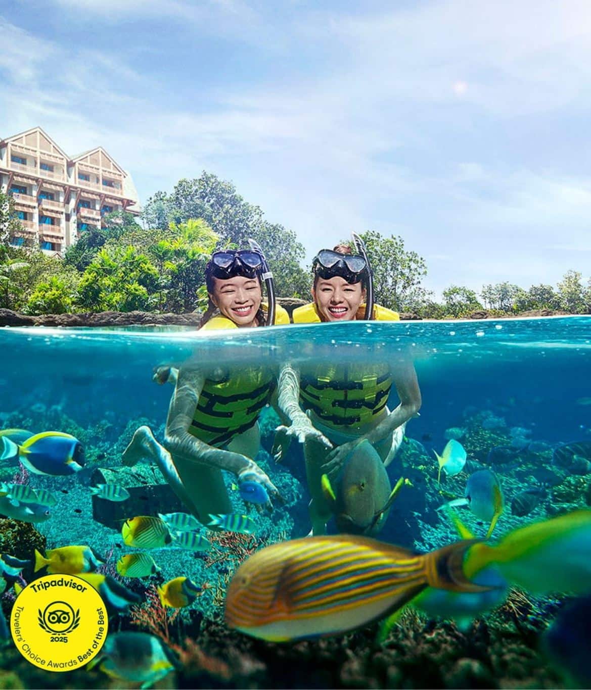 Singapore Attractions - ACW
