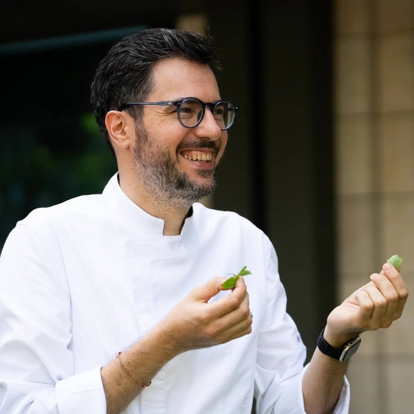 Laurus-Chef