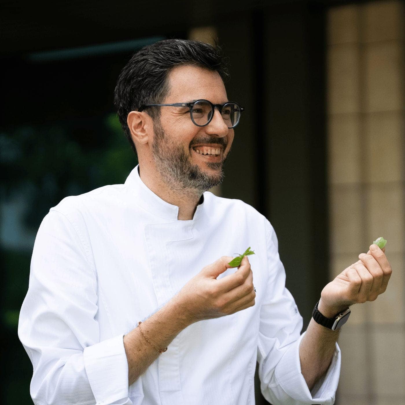 Laurus-Table-Chef
