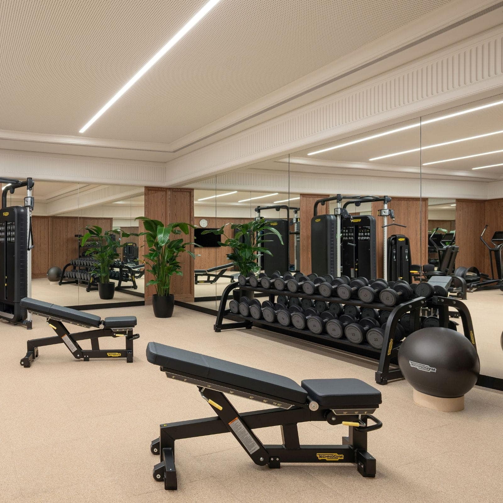 The-Laurus-Wellness-Fitness-Centre