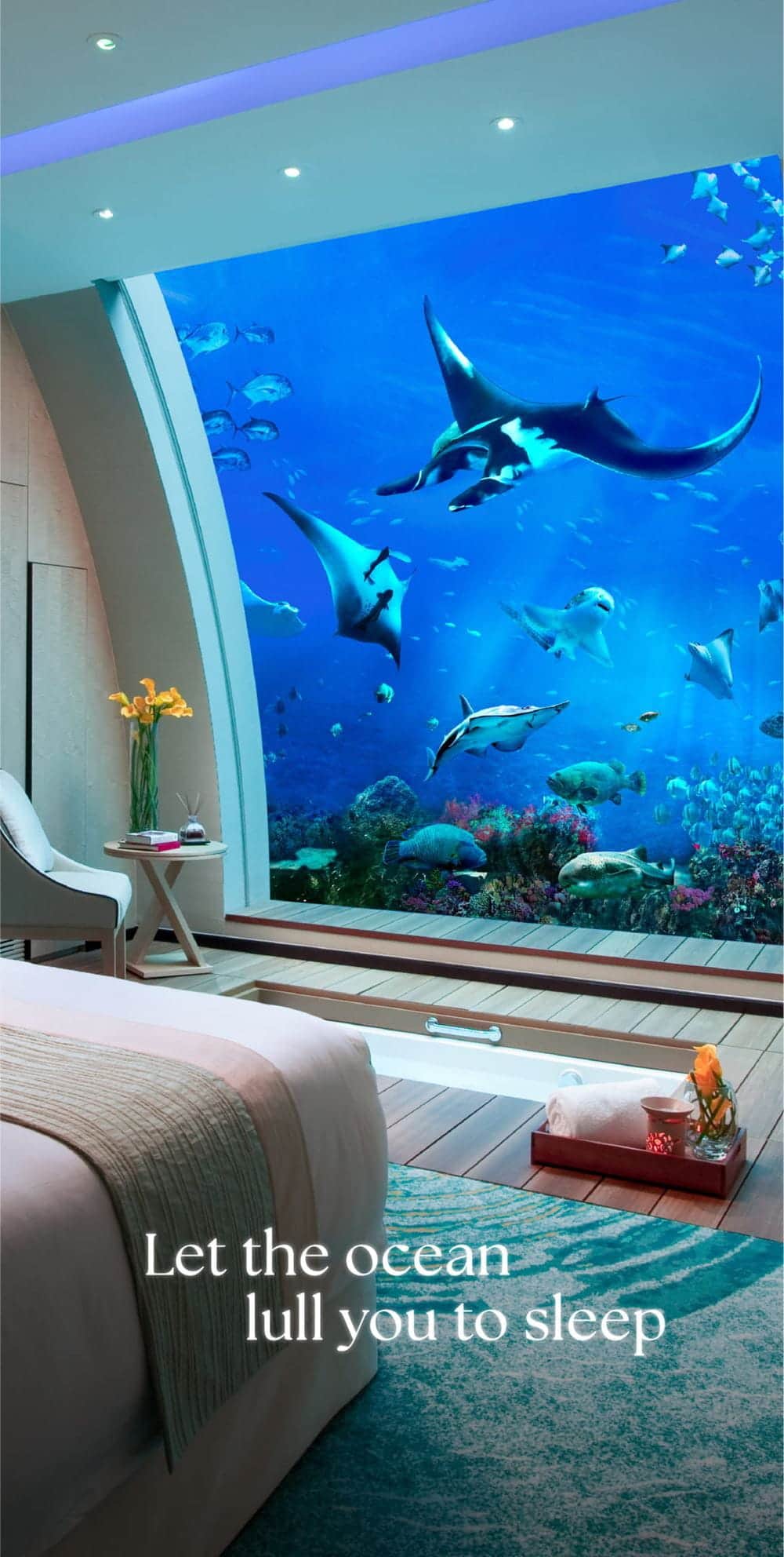 Travellers' Checks | Underwater hotel a step closer to reality, but don't  hold your breath | South China Morning Post, image size:1000x1984