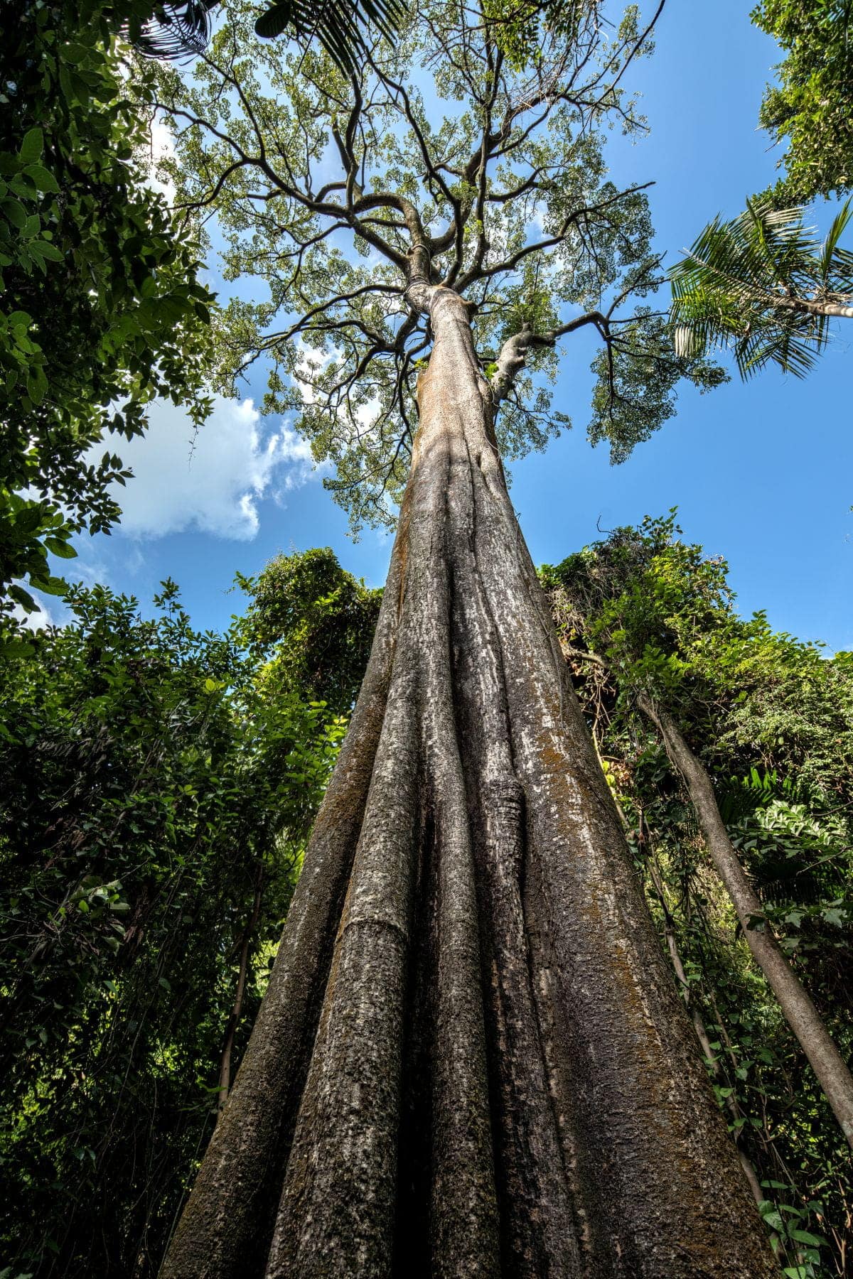 Sustainability-Focus-Areas-Amplify-Impact-Terrestrial-Conversion