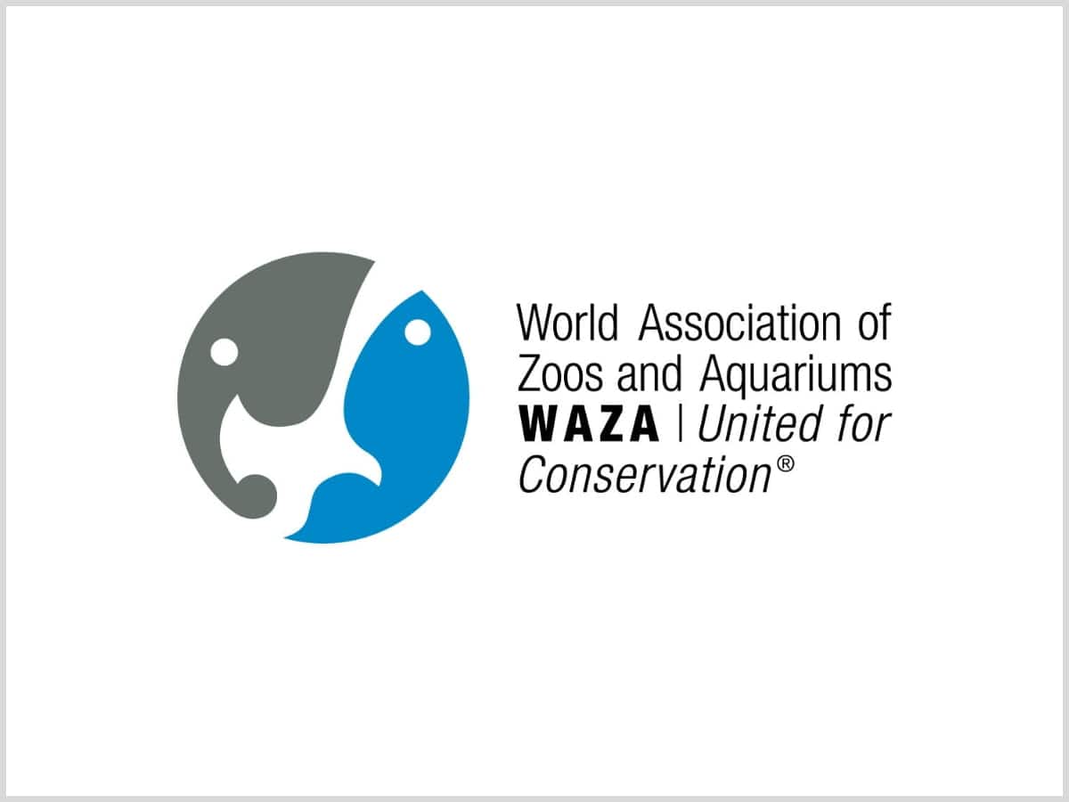 Awards-World-association-of-zoos-and-aquarium