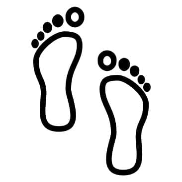 Carbon Footprint