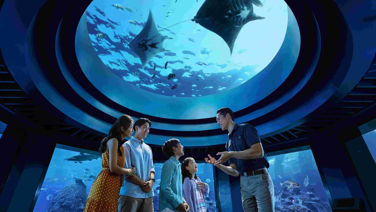 Marine-Conservation