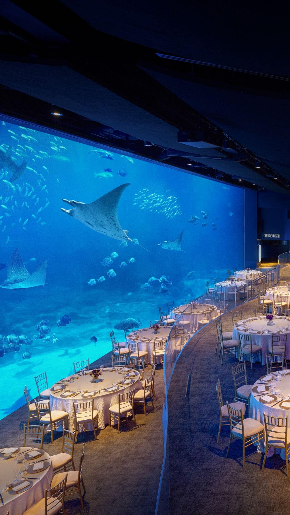 Unique venues
