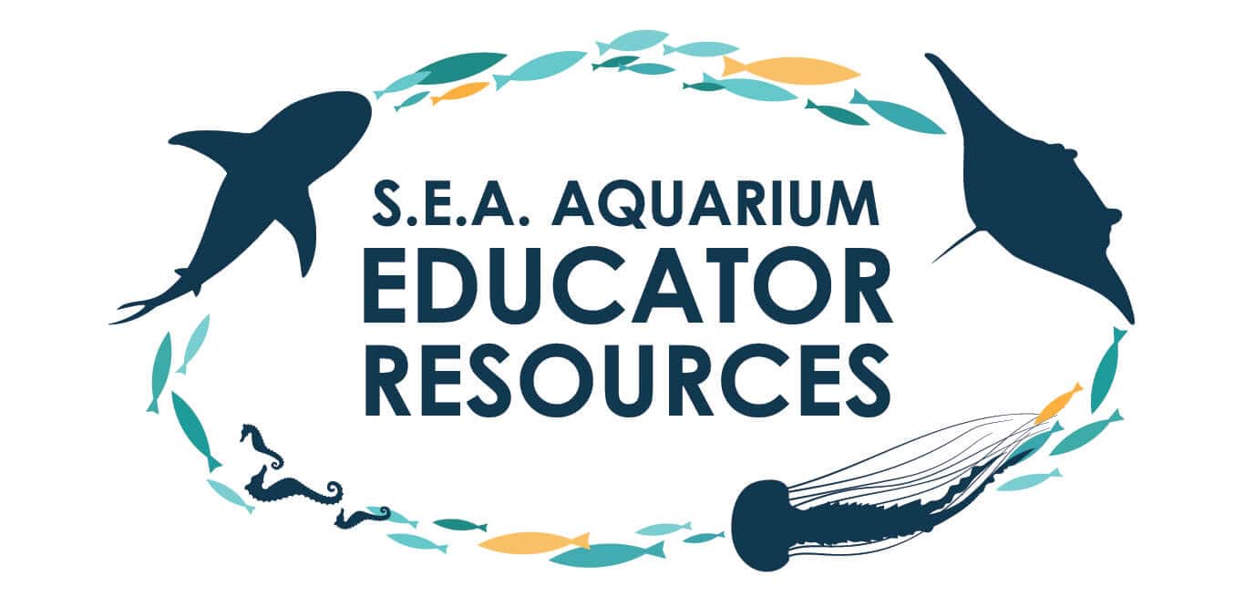 SEA Aquarium Educator Resources SEA Aquarium Educator Resources