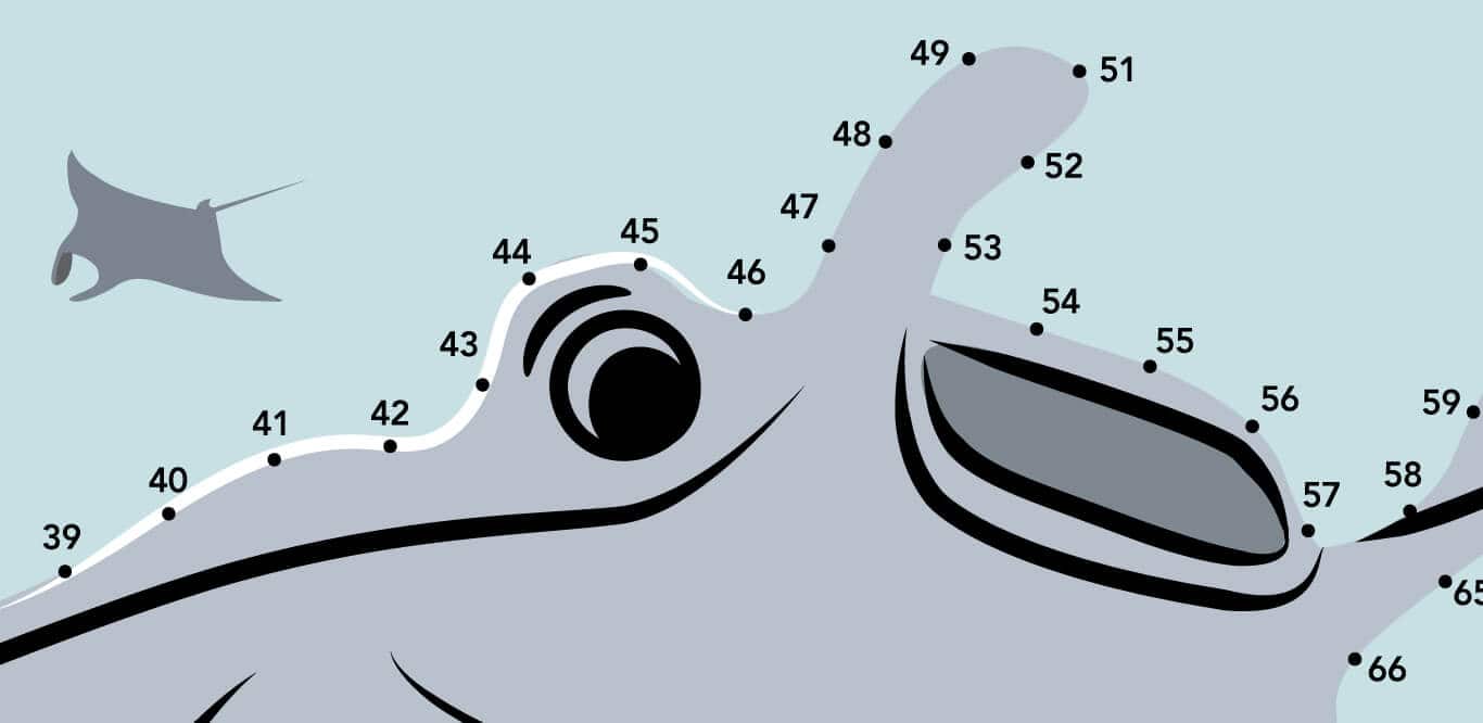 SEA Aquarium Fun Academy Connect the Dots 1366x666 SEA Aquarium Fun Academy Connect the Dots 1366x666